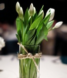 Rustic Tulip Centerpiece
Photography: D. Park Photography
Read More:
http://www.insideweddings.com/weddings/rustic-spring-wedding-in-southern-california/454/ White tulips with green leaves in vase tied with rope