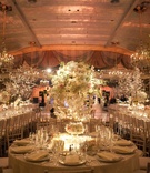 Lavish Ballroom Reception
Photography: Michael Falco for Christian Oth Studio
Read More:
http://www.insideweddings.com/weddings/formal-manhattan-wedding-with-opulent-ballroom-decor/517/ The Pierre wedding reception with tree centerpieces