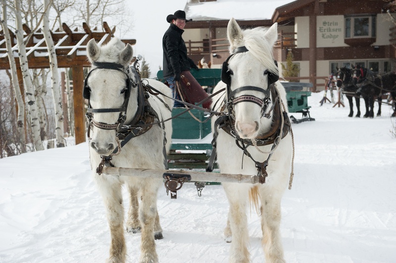 Horse-Drawn Sleigh
Photography: Handeland Tesoro Photography
Read More:
http://www.insideweddings.com/weddings/snowy-outdoor-winter-ceremony-cozy-lodge-reception/522/ White Clydesdale horses pulling green carriage