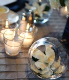 Glass Globe Vase
Photography: Kirsten Shultz
Read More:
http://www.insideweddings.com/weddings/genevieve-cortese-and-jared-padalecki/338/ Gardenia in glass sphere vase at wedding reception