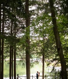 Bride %26 Groom on Lake Deck
Photography: Roey Yohai Studios
Read More:
http://www.insideweddings.com/weddings/romantic-new-york-real-wedding-with-upscale-summer-camp-feel/1327/ wedding location new york summer camp feel bride groom portrait on dock deck tall trees forest