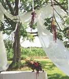 Rustic Outdoor Ceremony Décor
Photography: Perspective Studio Photography
Read More:
http://www.insideweddings.com/weddings/romantic-summer-winery-wedding-in-st-croix-falls-wisconsin/230/ Elm tree decorated with drapery and flowers
