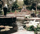 Mediterranean-Inspired Courtyard