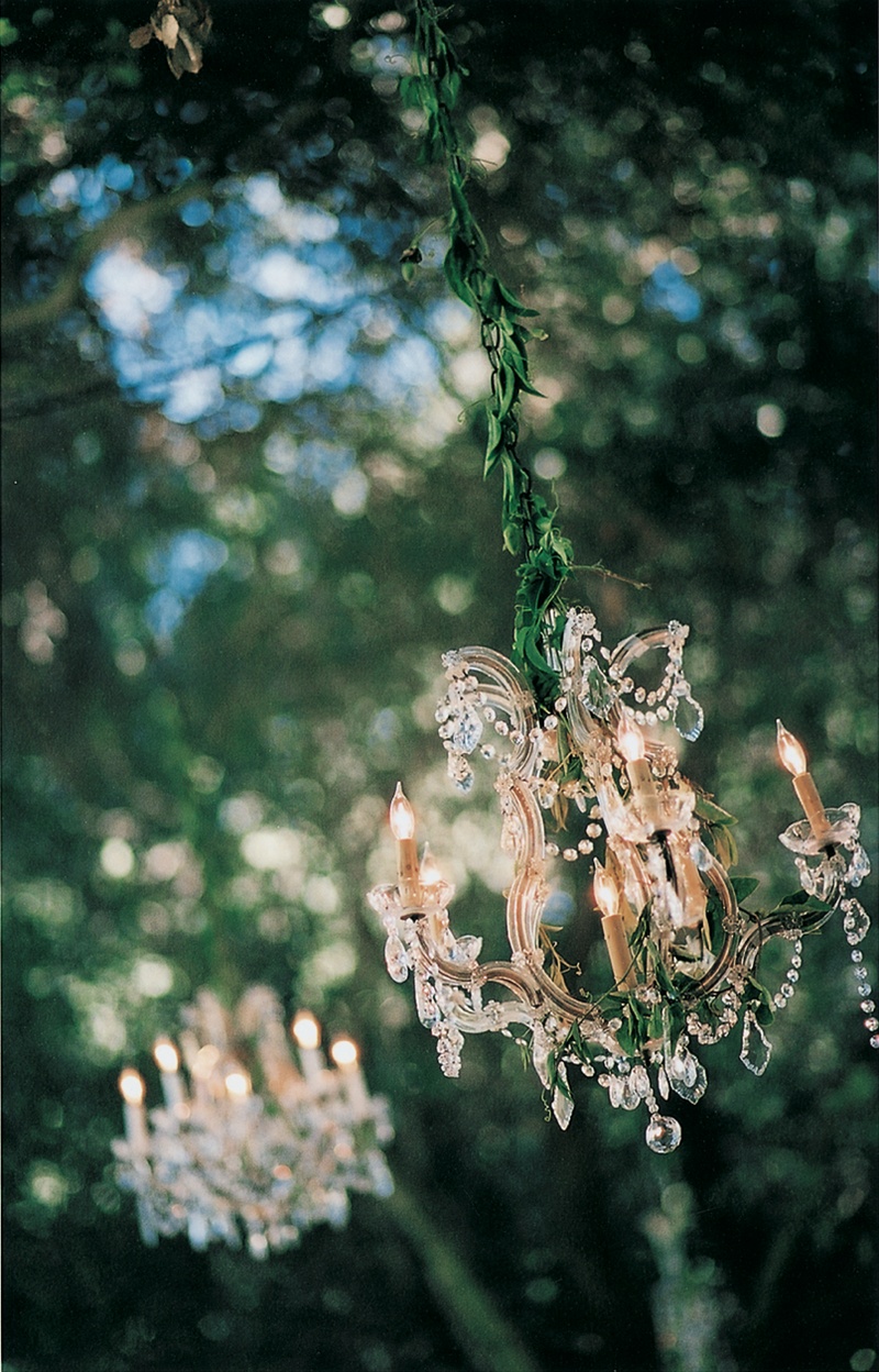 Crystal Chandeliers
Photography: Susan Bordelon Photography
Read More:
http://www.insideweddings.com/weddings/lindsay-price-and-shawn-piller/98/ Chandelier wrapped in garland hanging from tree