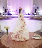 Cake with Path of Pink and White Roses
Photography: Victoria Angela Photography
Read More:
http://www.insideweddings.com/weddings/church-ceremony-modern-elegant-reception-in-orlando-florida/1099/ five-tier white wedding cake with pink and white roses