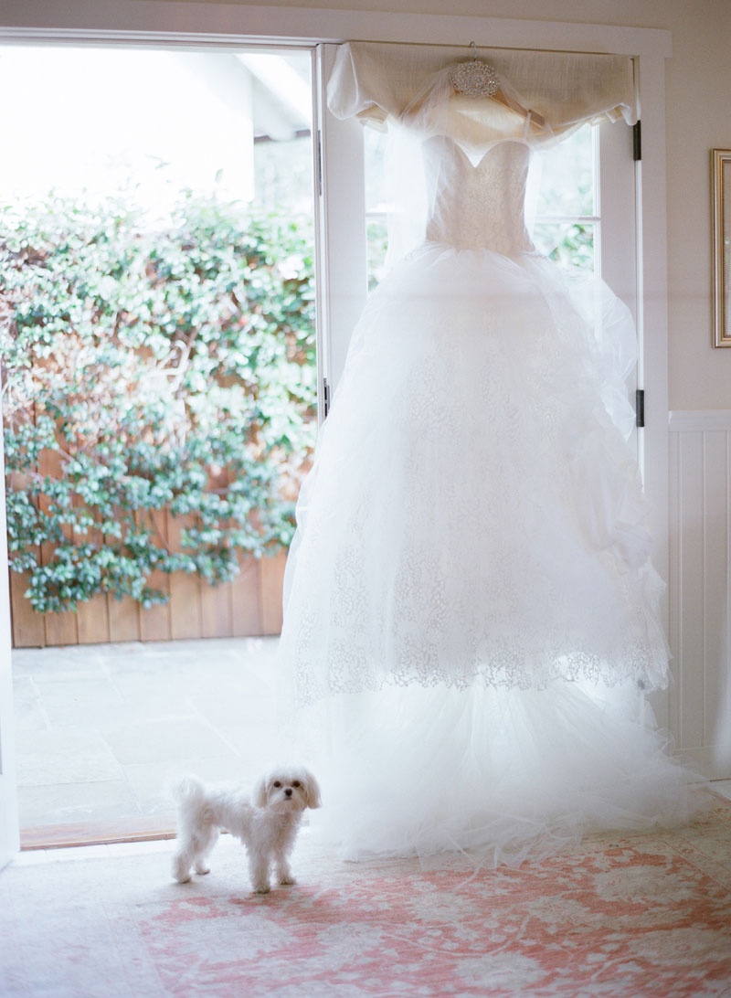 Butterfly Lace Gown and Dog
Photography: Elizabeth Messina
Read More:
http://www.insideweddings.com/weddings/fairy-tale-wedding-with-enchanted-forest-theme-in-santa-barbara/778/ Strapless Vera Wang wedding dress with lace skirt on hanger and dog flower girl