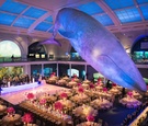 Reception at the American Museum of Natural History