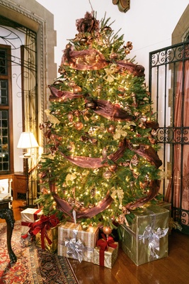 Holiday Wedding At The Pleasantdale Chateau With A Christmas Tree Ribbon Golden Lights Holiday Wedding At The Pleasantdale Chateau With A Christmas Tree Ribbon Golden Lights