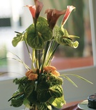 Small Tropical Arrangement
Photography: David Michael Photography
Read More:
http://www.insideweddings.com/weddings/tropical-beach-wedding-in-santa-monica/11/ Floral centerpiece with calla lily blossoms