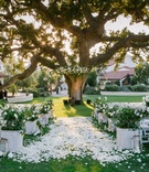 Aisle of White Rose Petals
Photography: Amy %26 Stuart Photography
Read More:
http://www.insideweddings.com/weddings/outdoor-jewish-ceremony-with-white-green-color-palette-in-ojai/1049/ wedding aisle with white rose petals, white and green arragements