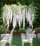 Cascading White Flowers
Photography: Simply Splendid
Read More:
http://www.insideweddings.com/weddings/los-angeles-rams-nfl-player-brandin-cooks-backyard-wedding/1281/ brandin cooks backyard wedding, arbor with greenery and cascading white flowers, ghost chairs