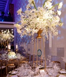 Centerpiece
Photography: Bob %26 Dawn Davis Photography
Read More:
http://www.insideweddings.com/weddings/a-dream-winter-wedding-at-the-art-institute-of-chicago/563/ Wedding reception centerpiece of white flowers in a gold urn sitting on Art Decor risers