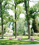 Alfresco Cocktail Hour
Photography: Kortnee Kate
Read More:
http://www.insideweddings.com/weddings/sophisticated-outdoor-wedding-celebration-in-cincinatti-ohio/424/ Pink cocktail tables with Chameleon chairs under trees