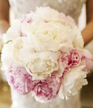 Pink %26 Ivory Peony Bouquet
Photography: Christian Oth Studio
Read More:
http://www.insideweddings.com/weddings/donatella-arpaia-and-allan-stewart/368/ Bouquet of white garden roses and pink peonies