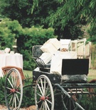 Rustic Wedding Gift Station
Photography: Amy Kumler Photography
Read More:
http://www.insideweddings.com/weddings/outdoor-wedding-at-a-california-rose-farm/18/ Rustic wedding decorations for present area