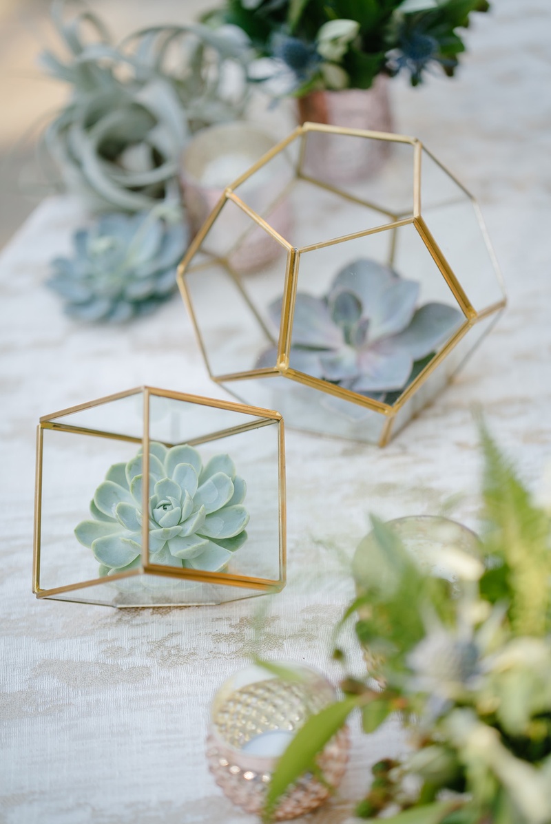 Geometric Terrariums and Succulents
Photography: Karlisch Photography
Read More:
http://www.insideweddings.com/weddings/modern-rustic-wedding-full-of-flowers-and-geometric-details/906/ trendy wedding decor succulents in geometric terrariums wedding decor rustic