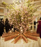 Champagne Seating Card Table
Photography: Christian Oth Studio
Read More:
http://www.insideweddings.com/weddings/donatella-arpaia-and-allan-stewart/368/ Champagne bottles with straws on seating card table