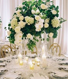 Ivory Flowers %26 Greenery Centerpiece
Photography: Adam Barnes
Read More:
http://www.insideweddings.com/weddings/elegant-real-wedding-at-a-charming-resort-in-the-countryside/1141/ Wedding reception circular table gold chairs candles tall centerpiece greenery white hydrangea peony