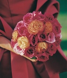 Fuchsia %26 Orange Bouquet
Photography: Miki and Sonja Photography
Read More:
http://www.insideweddings.com/weddings/a-passionate-golf-club-wedding-inspired-by-red-roses/72/ Bridesmaid bouquet with pink and orange roses