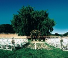 Vineyard Ceremony