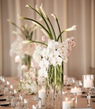 Tall, Natural Floral Arrangement in Ivory %26 Blush
Photography: Laurie Bailey Photography
Read More:
http://www.insideweddings.com/weddings/classic-california-wedding-with-american-and-chinese-traditions/900/ tall natural floral arrangement in ivory blush long stemmed glass elements classic decor flowers