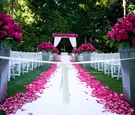 Vibrant Pink Outdoor Ceremony