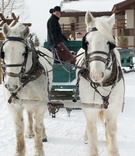 Horse-Drawn Sleigh
Photography: Handeland Tesoro Photography
Read More:
http://www.insideweddings.com/weddings/snowy-outdoor-winter-ceremony-cozy-lodge-reception/522/ White Clydesdale horses pulling green carriage