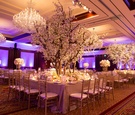 Reception at Four Seasons Hotel Westlake Village with Purple Lighting
