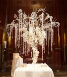 Snowy Table Display
Photography: Ira Lippke Studios
Read More:
http://www.insideweddings.com/weddings/white-winter-wedding-at-capitale-in-new-york-city/375/ Seating card table arrangement with birch branches