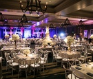 Neutral Décor with Purple and Blue Uplighting