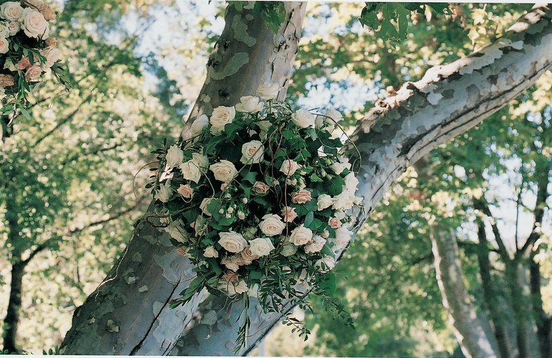 Cocktail Hour Décor
Photography: Susan Bordelon Photography
Read More:
http://www.insideweddings.com/weddings/lindsay-price-and-shawn-piller/98/ Ball of flowers and verdure hanging from tree