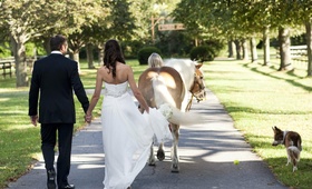 Stroll as Man and Wife
Photography: Christian Oth Studio
Read More:
http://www.insideweddings.com/weddings/classic-vineyard-wedding-in-the-hamptons/348/ Bride and groom holding hands next to horse