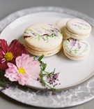 Wisteria Hand-Painted on Macarons
Photography: Laura Gordon
Read More:
http://www.insideweddings.com/weddings/inspirational-spring-fete-with-moody-florals-modern-details/1182/ wedding event dessert on plate macaron french dessert hand painted with flower print design wisteria