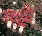 Pink Roses in Heart Shape