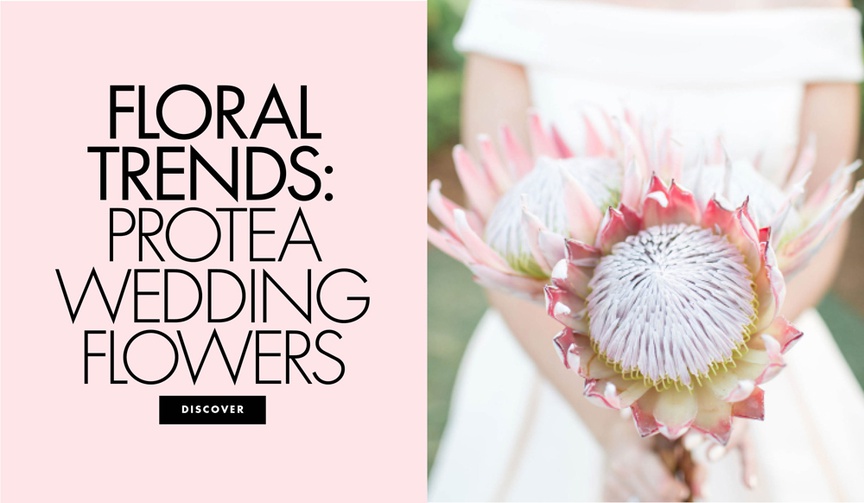 Protea Wedding Flowers
Article: 11 Inspiring Protea Flower Arrangements for Weddings
Photography: Kir2ben Photography
Read More:
http://www.insideweddings.com/news/planning-design/11-inspiring-protea-flower-arrangements-for-weddings/4577/ Floral trends protea wedding flower ideas