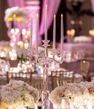 Acrylic Candelabra with Taper Candles
Photography: Travis Harris Photography
Read More:
http://www.insideweddings.com/weddings/romantic-wedding-with-ivory-champagne-gold-palette-in-florida/709/ Electric candelabra with white & pink roses & hydrangeas in mirrored vessels on wedding reception