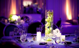 Submerged Orchid Centerpiece
Photography: Jessica Lewis Photography
Read More:
http://www.insideweddings.com/weddings/summer-wedding-at-the-sls-hotel-beverly-hills-california/460/ Lime green flowers in cylinder vase at purple wedding