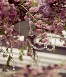Romantic Ceremony Florals
Photography: Heather Waraska
Read More:
http://www.insideweddings.com/weddings/great-gatsby-inspired-spring-wedding-in-new-york/363/ Crystal strands hanging from purple and pink flower vines