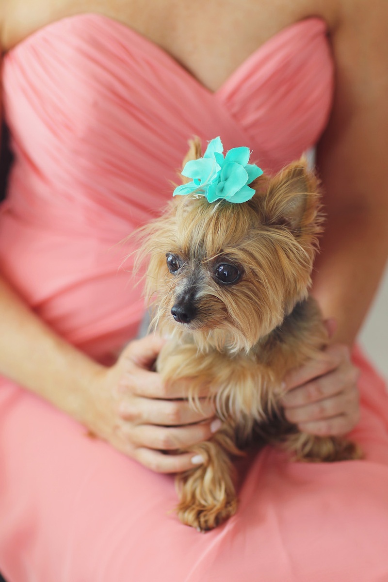 Flower Girls & Ring Bearers Photos Bridal Party Dog Inside Weddings