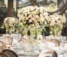 Garden Rose Centerpieces with Greenery