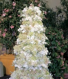 Floral-Embellished Cake
Photography: Gruber Photographers
Read More:
http://www.insideweddings.com/weddings/english-garden-inspired-fall-wedding-in-new-york-city/210/ Wedding confection covered in flowers