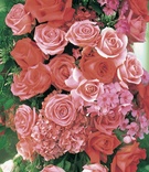 Pink Rose and Hydrangea Florals
Photography: Michael Adams Photography
Read More:
http://www.insideweddings.com/weddings/a-romantic-pink-rose-wedding-at-empire-polo-club-in-california/46/ Pink and red roses and hydrangeas and greenery