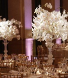 Orchid Centerpieces
Photography: Sherman Chu Photographer
Read More:
http://www.insideweddings.com/weddings/romantic-wedding-with-green-hues-at-the-bentley-reserve/256/ crystal candelabra with white orchids on top, on table with gold accented place settings
