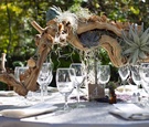 Sprawling Nature-Inspired Centerpiece