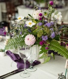 Purple %26 Greenery Low Arrangements
Photography: Joshua Behan
Read More:
http://www.insideweddings.com/weddings/lyndsy-fonseca-and-noah-bean/992/ Wedding reception Lyndsy Fonseca and Noah Bean ferns purple flowers purple napkin wood chair