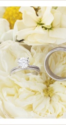 Photography: Christine Bentley Photography
Read More:
http://www.insideweddings.com/inspiration/board/176/christine-bentley-photography/yellow-inspiration/