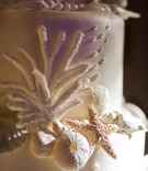 Beach Wedding Cake
Photography: Melissa Mermin | Love Stories
Read More:
http://www.insideweddings.com/weddings/traditional-spring-wedding-in-naples-florida/352/ White wedding cake with seashell and starfish decorations