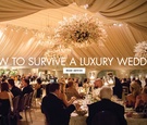 Your Guide to Attending a Luxury Wedding
Article: Your Guide to Attending a Luxury Wedding
Photography: Carasco Photography
Read More:
http://www.insideweddings.com/news/planning-design/your-guide-to-attending-a-luxury-wedding/3968/ These tips will help you not feel out of place.