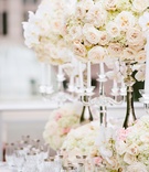 Romantic Floral Table Runner
Photography: Crystal Stokes Photography
Read More:
http://www.insideweddings.com/weddings/white-blush-inspirational-wedding-shoot-at-urban-rooftop-garden/714/ Wedding reception table with tall silver stands, low vases with white hydrangeas, orchids pink roses