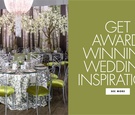 Unveiled Event with The Wedding Guys